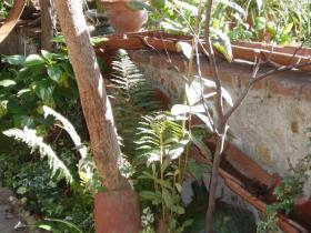 photo coins arrondis